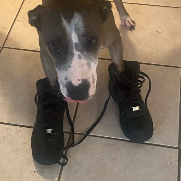 Meet your Posher, R4ild - Picture 2 of 2